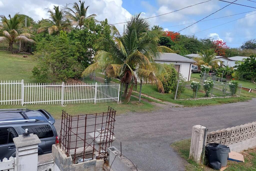 Conveniently Located, Quiet & Amp; Comfortable Christiansted Exteriér fotografie